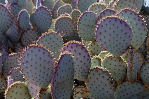 AdobeStock 97344994
